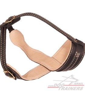 מחסום פה לכלב בסגנון מלכותי בצורת לולאה מרופד בעור נאפה - FOR DOG TRAINERS- ISRAEL