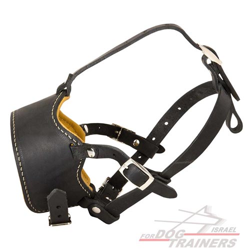מחסום פה לכלב מלכותי ורך מעור נאפה מתכוונן למניעת נביחות - FOR DOG TRAINERS- ISRAEL