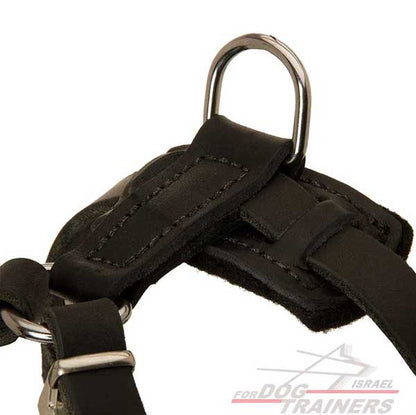 רתמה לכלב מעור לגורים ולכלבים קטנים- פרנץ' בולדוג - FOR DOG TRAINERS- ISRAEL