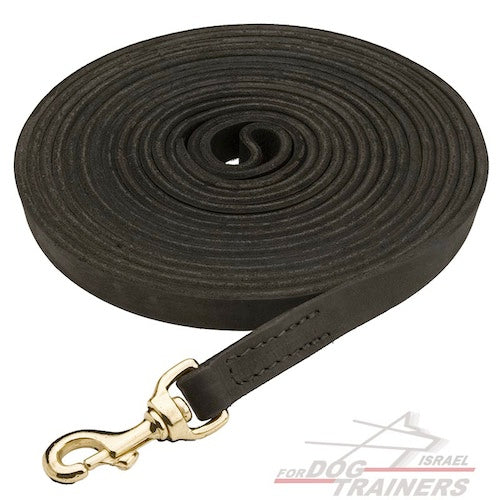 רצועת עור לכלב לגישוש באיכות מעולה לעבודה נוחה - FOR DOG TRAINERS- ISRAEL