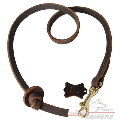 רצועת כיס מקצועית מעור לכלב לאימונים - FOR DOG TRAINERS- ISRAEL