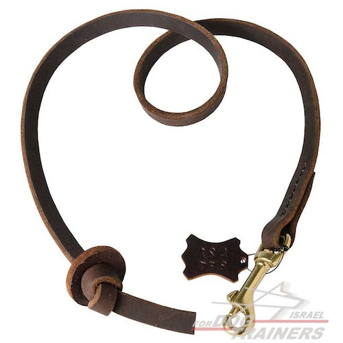 רצועת כיס מקצועית מעור לכלב לאימונים - FOR DOG TRAINERS- ISRAEL