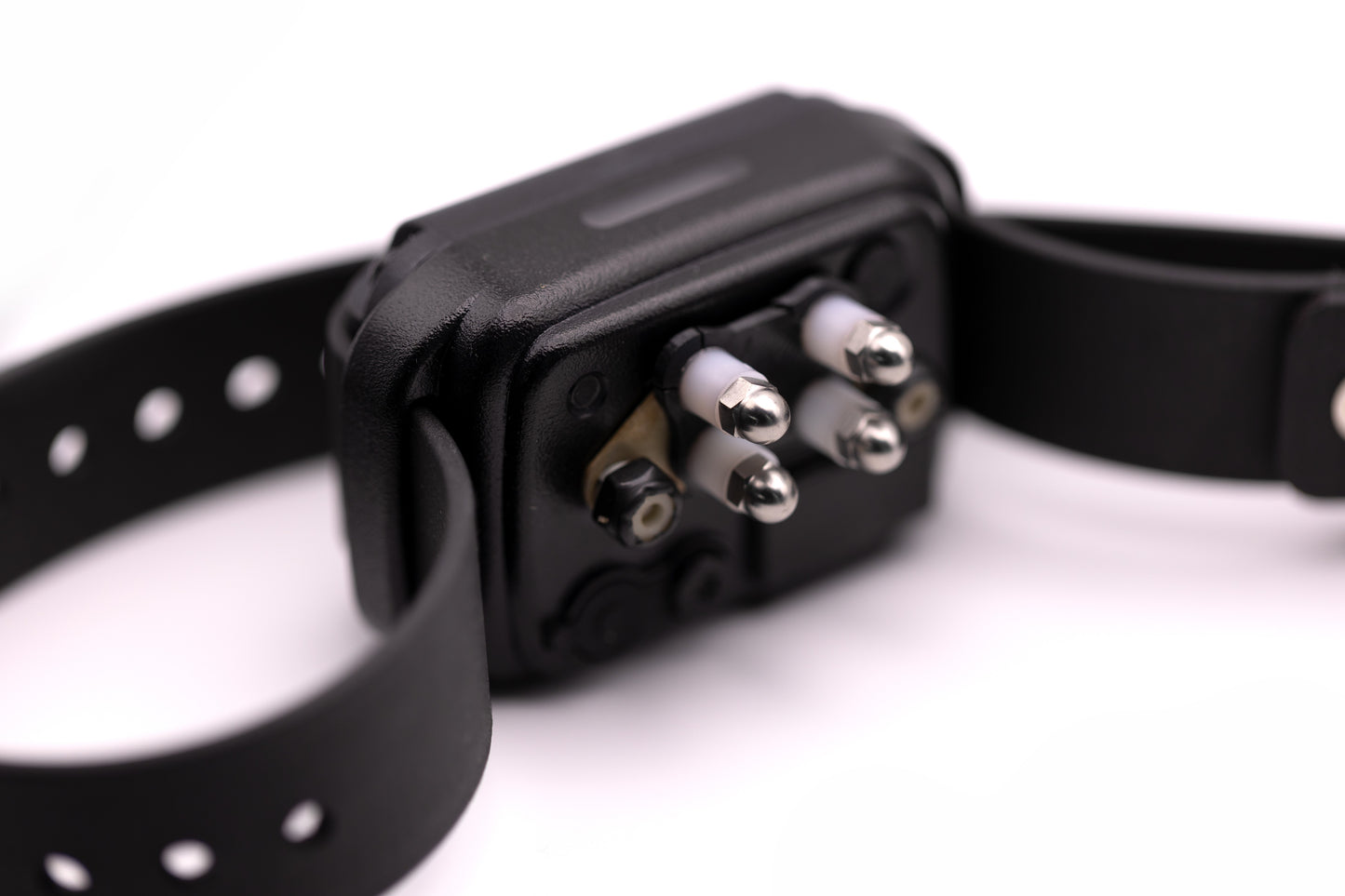 מתאם טיטניום חדש אי קולר לפרווה קצרה