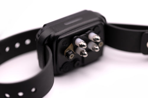 מתאם טיטניום חדש אי קולר לפרווה קצרה