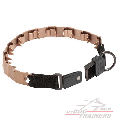 קולר דוקרנים מעוצב באיכות מעולה- אורך כולל 60 ס"מ - FOR DOG TRAINERS- ISRAEL