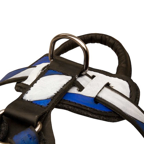 רתמת עור לכלב "ארץ הקודש" לגישוש ולהליכות - FOR DOG TRAINERS- ISRAEL