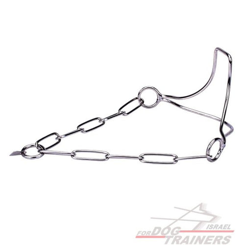 גאוות הזוכה" קולר כלב איכותי מנירוסטה לתערוכות עם חוליות שומרות פרווה - FOR DOG TRAINERS- ISRAEL