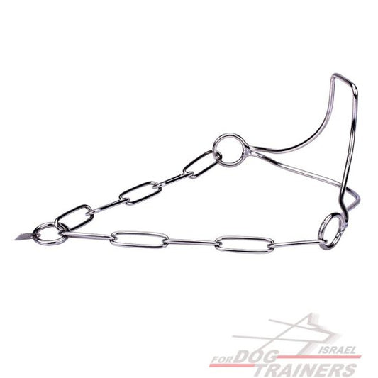 גאוות הזוכה" קולר כלב איכותי מנירוסטה לתערוכות עם חוליות שומרות פרווה - FOR DOG TRAINERS- ISRAEL