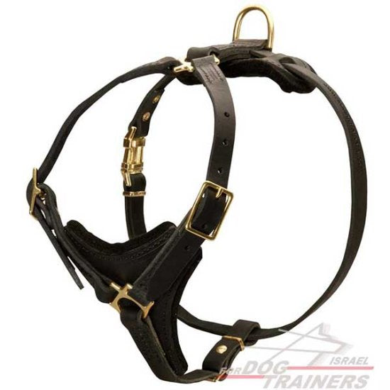 רתמת עור לכלב | לגישוש, טיולים ולאימונים - FOR DOG TRAINERS- ISRAEL