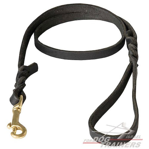 רצועת עור לכלב מקושטת להליכות ולגישושים - FOR DOG TRAINERS- ISRAEL