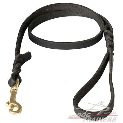 רצועת עור לכלב מקושטת להליכות ולגישושים - FOR DOG TRAINERS- ISRAEL