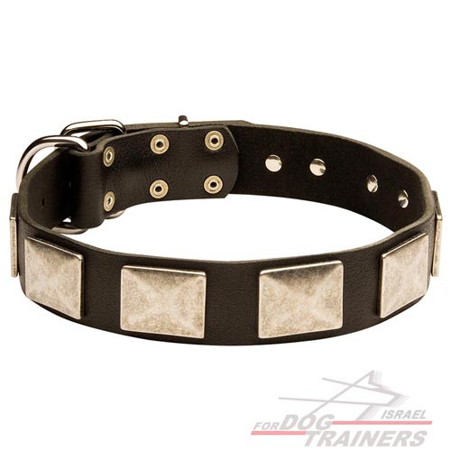 קולר לכלב מעור - מסוגנן כמו בסרטים - FOR DOG TRAINERS- ISRAEL