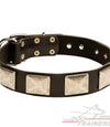 קולר לכלב מעור - מסוגנן כמו בסרטים - FOR DOG TRAINERS- ISRAEL
