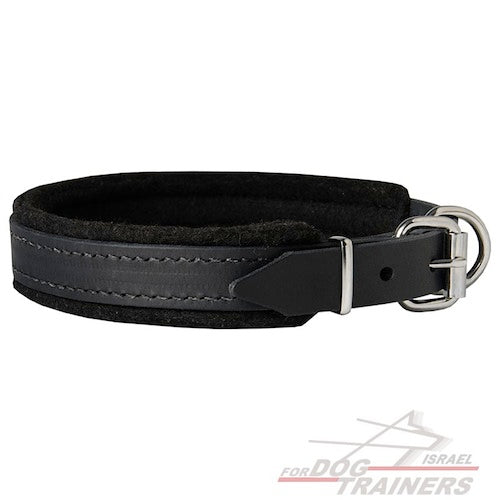 קולר לכלב מרופד מעור - ברוחב 2.5 ס"מ - FOR DOG TRAINERS- ISRAEL