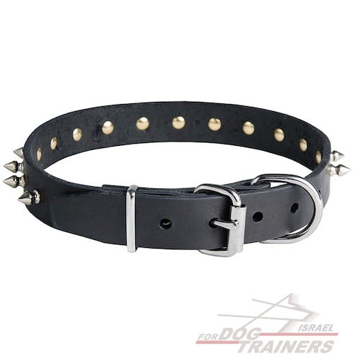 קולר לכלב מעור עם קישוט קוצני - FOR DOG TRAINERS- ISRAEL