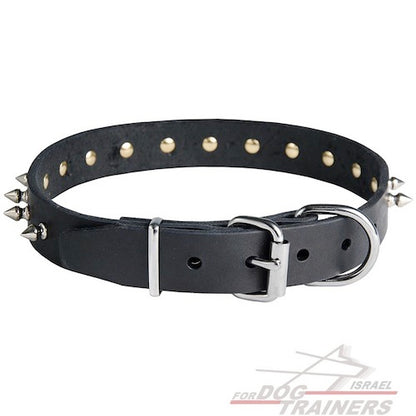 קולר לכלב מעור עם קישוט קוצני - FOR DOG TRAINERS- ISRAEL