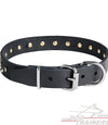 קולר לכלב מעור עם קישוט קוצני - FOR DOG TRAINERS- ISRAEL