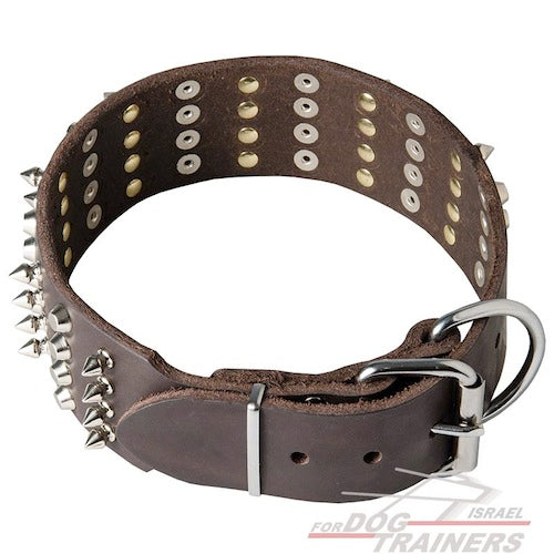 קולר לכלב מעור איכותי - מקושט ומסוגנן - FOR DOG TRAINERS- ISRAEL
