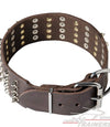קולר לכלב מעור איכותי - מקושט ומסוגנן - FOR DOG TRAINERS- ISRAEL