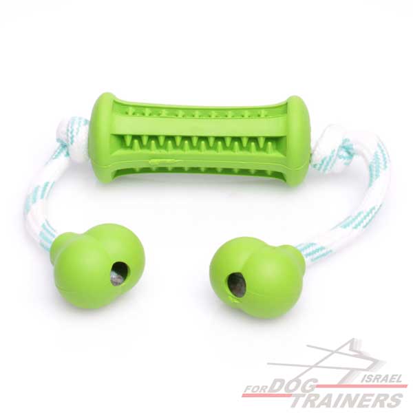 משחק להיגיינת פה טובה- מאובזר ב2 ידיות- גודל קטן - FOR DOG TRAINERS- ISRAEL