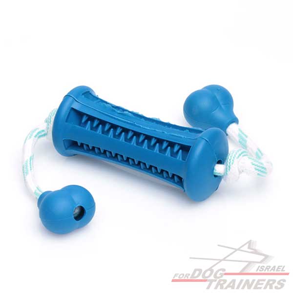 משחק להיגיינת פה טובה- מאובזר ב2 ידיות- גודל גדול - FOR DOG TRAINERS- ISRAEL