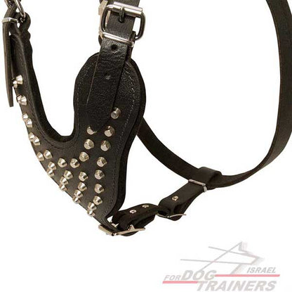 רתמת עור לכלב מתכווננת עם ניטים | לטיולים ולאימונים - FOR DOG TRAINERS- ISRAEL