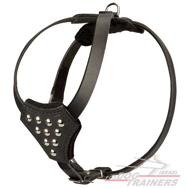 רתמת עור לכלב מעוצבת עם רצועות מתכווננות | לטיולים ולאימונים של גורים - FOR DOG TRAINERS- ISRAEL