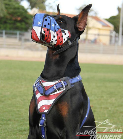 זמם לכלב מעור "דגל אמריקה" בצביעה ידנית - FOR DOG TRAINERS- ISRAEL