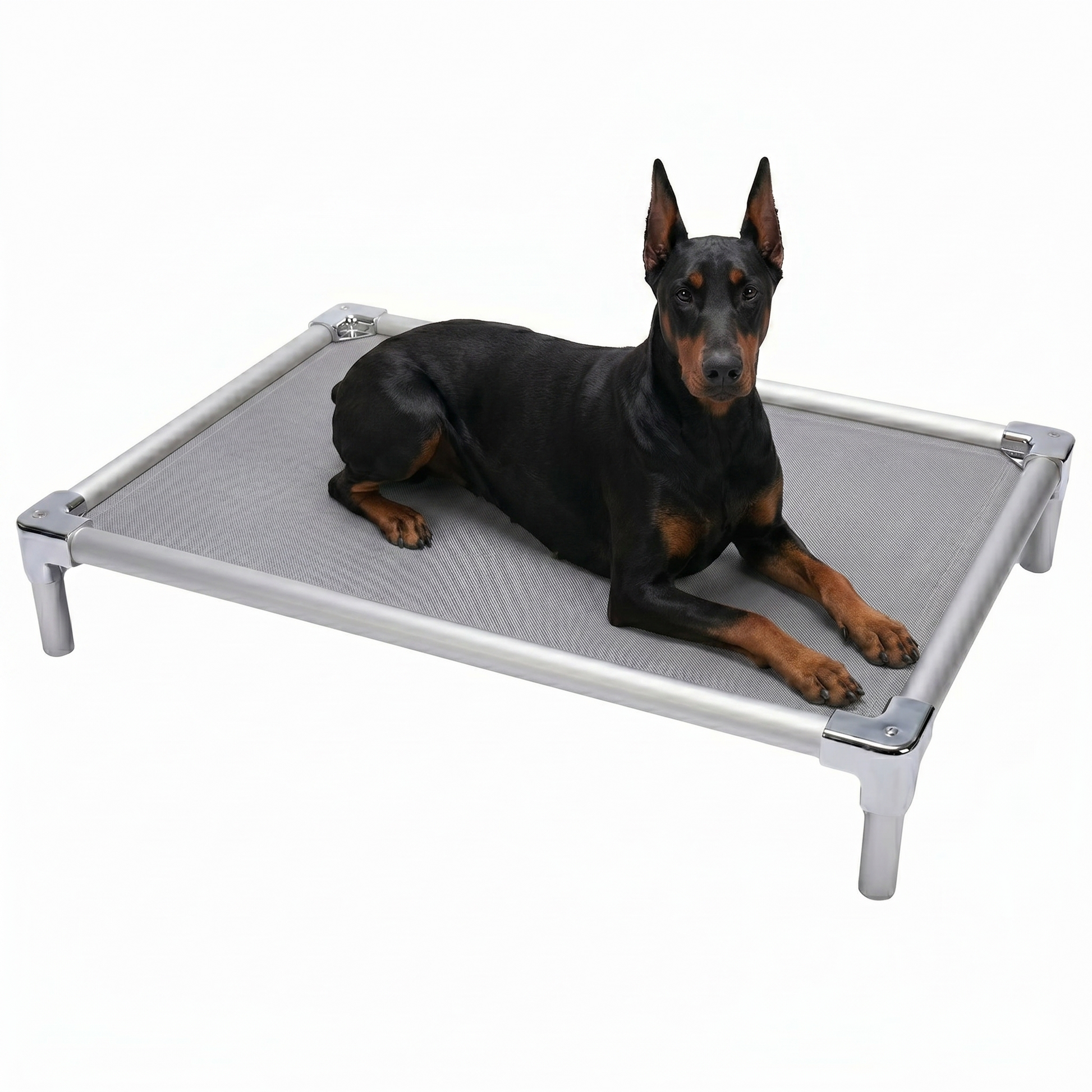 מיטת אלומיניום אורטופדית לדוברמן - FOR DOG TRAINERS ישראל
