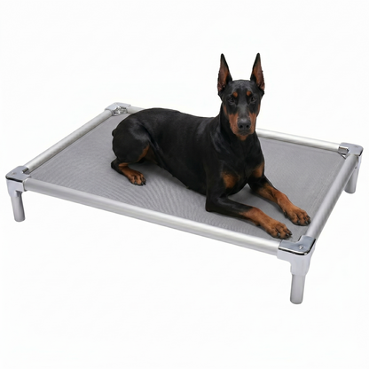מיטת אלומיניום אורטופדית לדוברמן - FOR DOG TRAINERS ישראל
