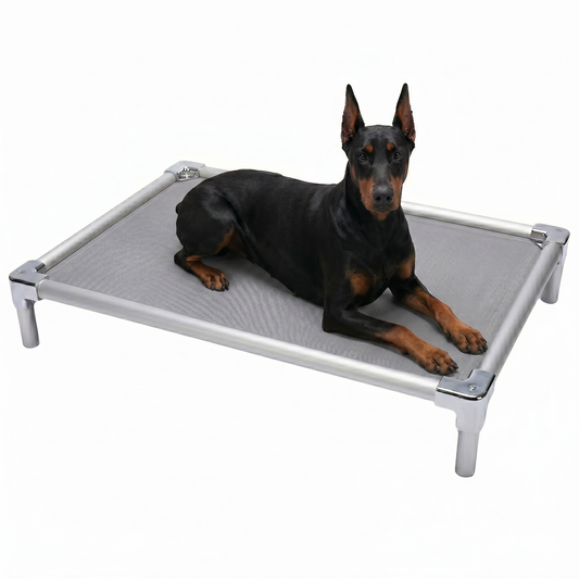 מיטת אלומיניום אורטופדית לדוברמן