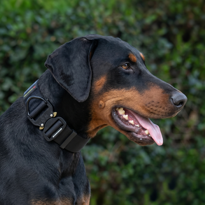 קולר ניילון לדוברמן עם אבזם מתכת heavy duty - FOR DOG TRAINERS ישראל