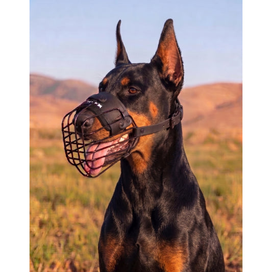 מחסום פה מינימליסטי וקל משקל לדוברמן