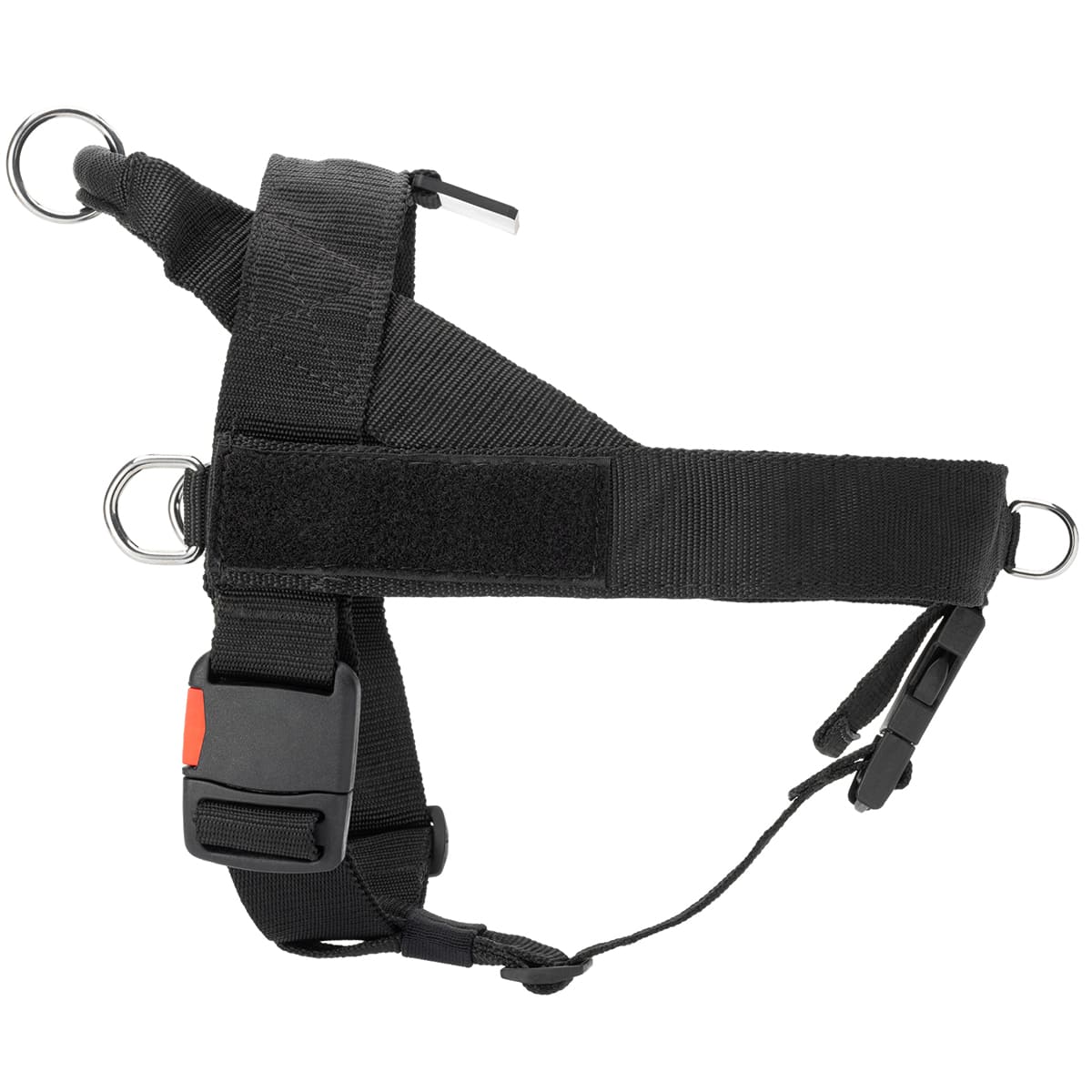 רתמה לכלב מניילון לסחיבה / גרירה, גישוש, חיפוש והצלה ולאימונים - FOR DOG TRAINERS- ISRAEL