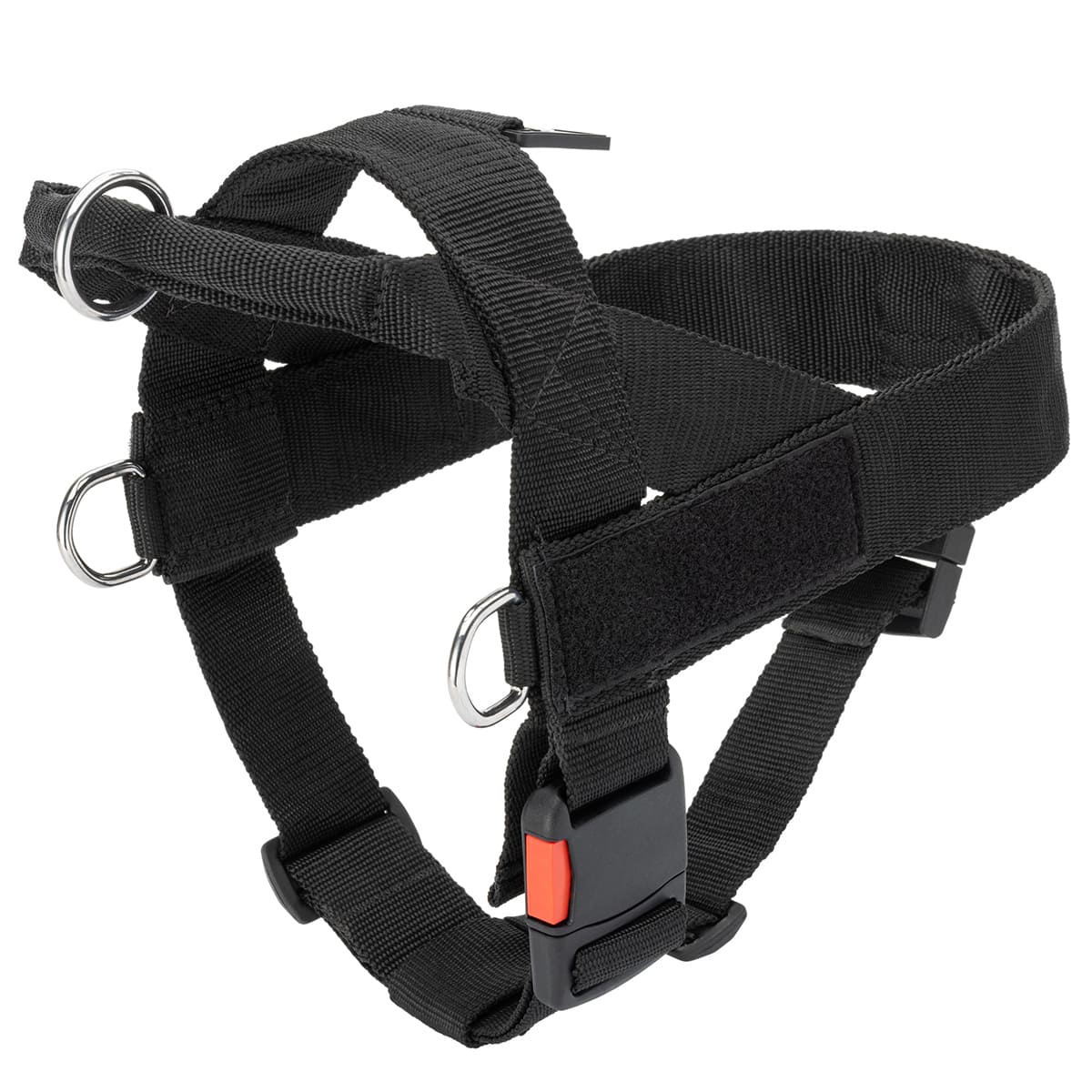 רתמה לכלב מניילון לסחיבה / גרירה, גישוש, חיפוש והצלה ולאימונים - FOR DOG TRAINERS- ISRAEL