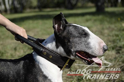 קולר לכלב מעור דו-שכבתי עם ידית אחיזה נוחה - FOR DOG TRAINERS- ISRAEL