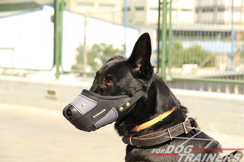 זמם לכלב לאימוני תקיפה / הגנה - FOR DOG TRAINERS- ISRAEL