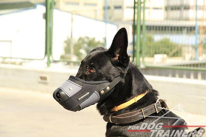 זמם לכלב לאימוני תקיפה / הגנה - FOR DOG TRAINERS- ISRAEL