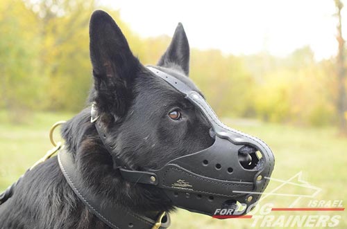 חדש! מחסום פה לכלב מיועד לכלבים עובדים - FOR DOG TRAINERS- ISRAEL