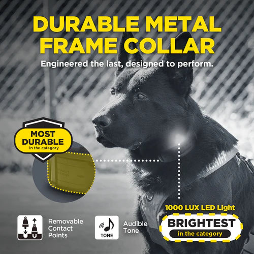 Dogtra 1200X Black Edition (1900X Black) - שלט וקולר בגימור שחור - דוגטרה