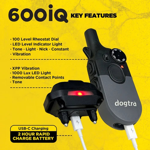 קולר אילוף דוגטרה לכלבים קטנים- גדולים Dogtra 600iQ (200iQ) – דגם 2026