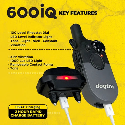 קולר אילוף דוגטרה לכלבים קטנים- גדולים Dogtra 600iQ (200iQ) – דגם 2026