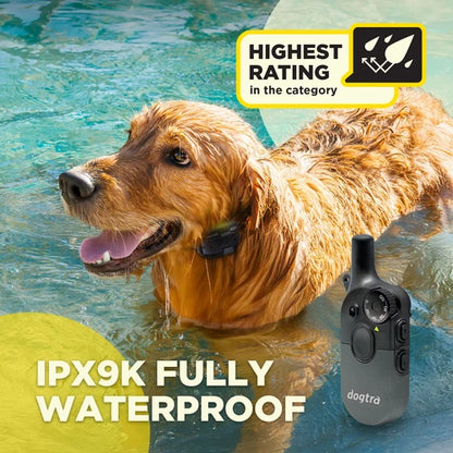 קולר אילוף דוגטרה לכלבים קטנים- גדולים Dogtra 600iQ (200iQ) – דגם 2026