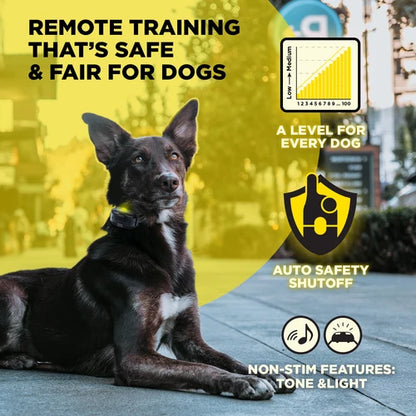 קולר אילוף דוגטרה לכלבים קטנים- גדולים Dogtra 600iQ (200iQ) – דגם 2026