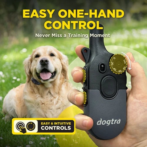 קולר אילוף דוגטרה לכלבים קטנים- גדולים Dogtra 600iQ (200iQ) – דגם 2026