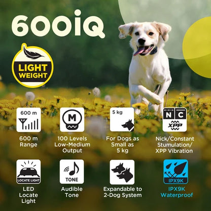 קולר אילוף דוגטרה לכלבים קטנים- גדולים Dogtra 600iQ (200iQ) – דגם 2026