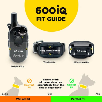 קולר אילוף דוגטרה לכלבים קטנים- גדולים Dogtra 600iQ (200iQ) – דגם 2026