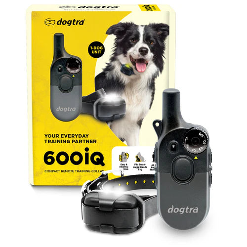 קולר אילוף דוגטרה לכלבים קטנים- גדולים Dogtra 600iQ (200iQ) – דגם 2026