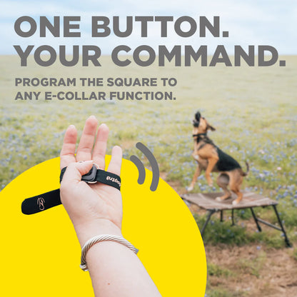 כפתור לשליטה מרחוק HANDSFREE SQUARE למערכות Dogtra
