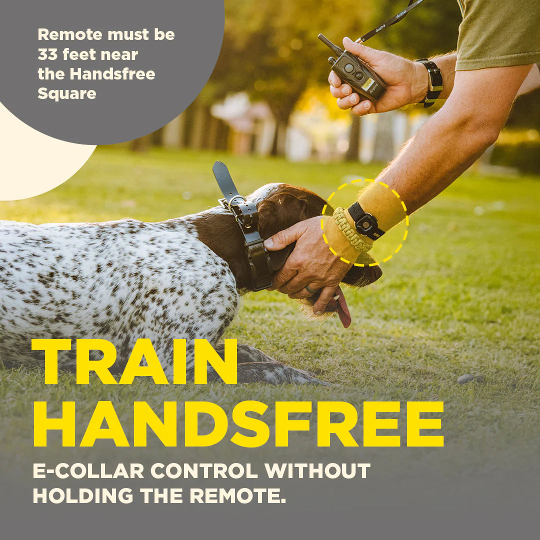 כפתור לשליטה מרחוק HANDSFREE SQUARE למערכות Dogtra